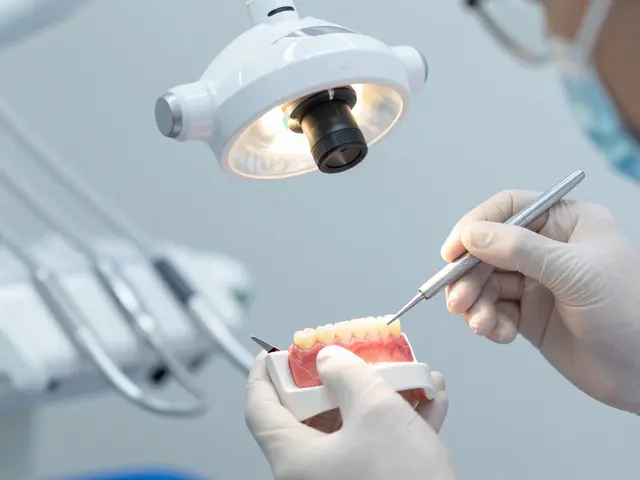 Jak dlouho vydrží zubní můstek? Průměrná životnost a jak ji prodloužit