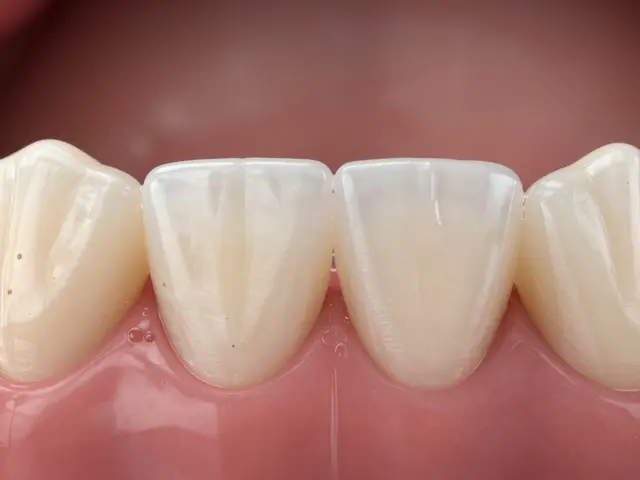 Zubní plak a jeho vliv na naše trávení: co potřebujete vědět