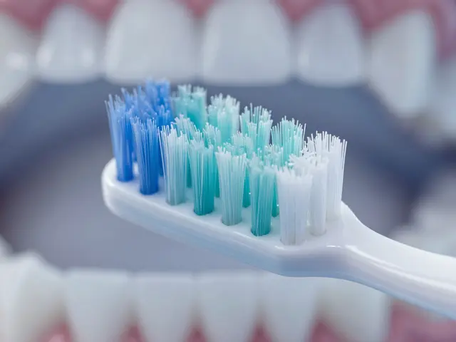 Jak vydrží Curaprox kartáčky déle než ostatní zubní kartáčky