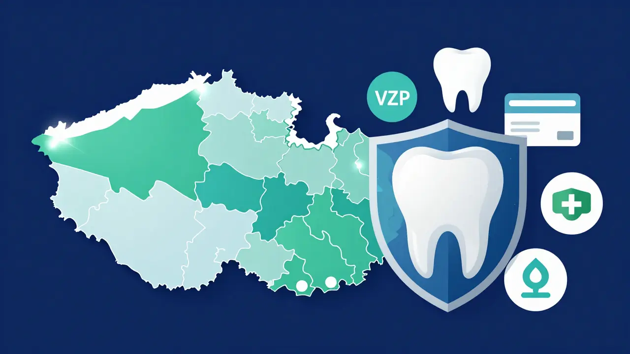 Ilustrace financování zubní hygieny z dotací krajů a pojišťoven v ČR.